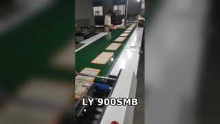 एलवाई-900एसएमबी